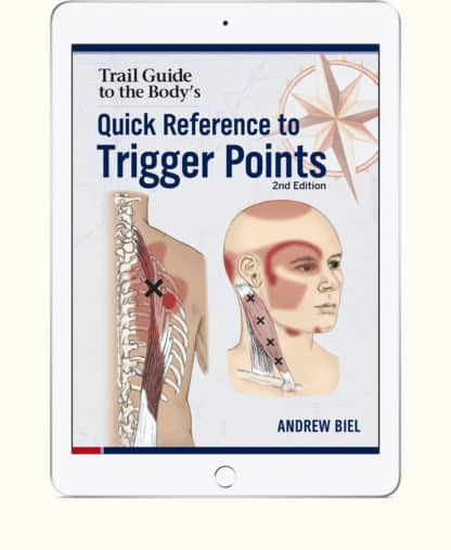 Quick Reference To Trigger Points