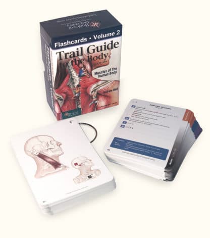 Trail Guide to the Body Flashcards, 6th Edition, Volume 1